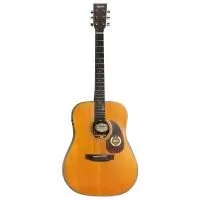 Suolun GT-1D TAG N Гитара трансакустическая 41" Dreadnought, цвет натуральный, с чехлом в комплекте
