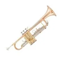 Arnolds&Sons ATR-4200G-TERRA Труба Bb студенческая модель