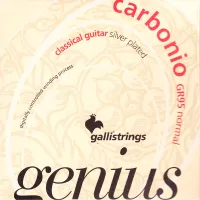 GALLI STRINGS GR95 Набор струн для классической гитары, натяжение NORMAL