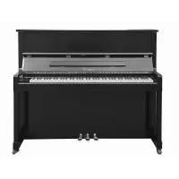 Беларусь B-121B Пианино акустическое, чёрное