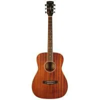 Parkwood PF51M-WBAG-OP Гитара акустическая с чехлом