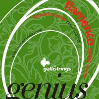 GALLI STRINGS GR105 Набор струн для классической гитары GENIUS FLAMENCO, натяжение NORMAL
