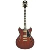 D'Angelico Deluxe DC Satin Brown Burst Электрогитара полуакустическая с кейсом, 6 струн, коричневая
