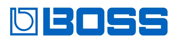 BOSS BOSS