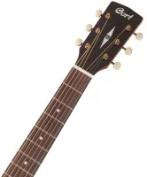 Cort Earth100 SSF SB