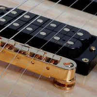 SCHECTER OMEN EXTREME-6 GNAT Электрогитара, 6 струн, 24 лада, цвет натуральный глянцевый