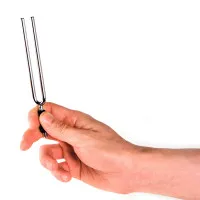 Planet Waves PWTF-A Tuning Fork Камертон вилочный, нота "Ля" (А) 440Гц