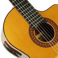 Admira Juanita-EC Гитара  электроакустическая классическая с вырезом, орегонская сосна, сапелли