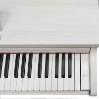 SOLISTA DP200WA Фортепиано цифровое, цвет белый ясень