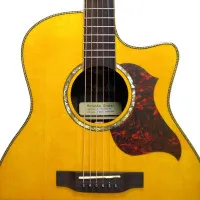 Suolun S-300GAC N Гитара акустическая 41" Grand Auditorium, цвет натуральный, с чехлом