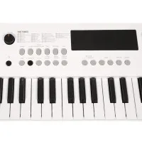 SOLISTA SK49WH Синтезатор 49 клавиш, цвет белый