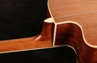 Oriental Cherry W-500S-41