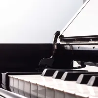 Беларусь B-162B Рояль кабинетный, чёрный