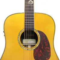 Suolun S-300D TAG N Гитара трансакустическая 41" Dreadnought, цвет натуральный, с чехлом