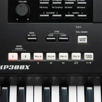 Kurzweil KP300X LB Синтезатор, 76 клавиш, полифония 128, цвет чёрный