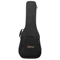 Trumon SAKURA 990 TF-E1 Гитара акустическая со звукоснимателем 41" Grand Auditorium, с чехлом