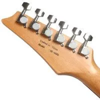 Bosstone SR-06 BK+Bag Гитара электрическая, 6 струн цвет черный