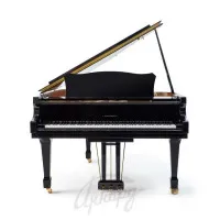 Н.Рубинштейн НР-160 Рояль кабинетный, чёрный