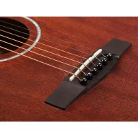 Cort AF510M W_BAG OP