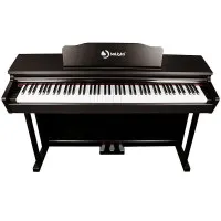 SOLISTA DP200RW Фортепиано цифровое, цвет палисандр