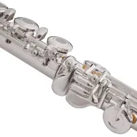 VIVOTON Student 17 Х Флейта C (До) полупрофессиональная