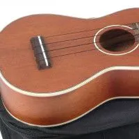 STAGG US80-S