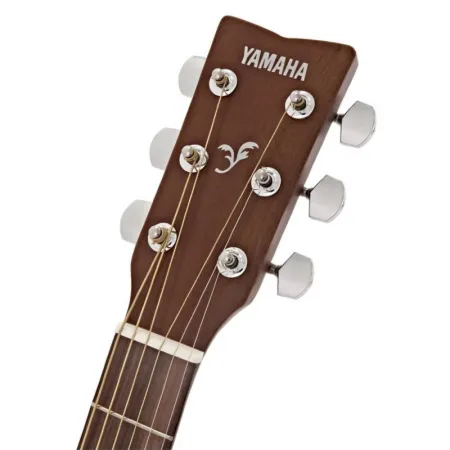 Yamaha F310 EX (India)