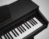 Artesia DP-10e Rosewood Цифровое фортепиано, палисандр