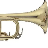 STAGG WS-TR215S Труба в мягком кофре, строй Bb