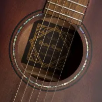 BATON ROUGE X11LS/FE-AB Гитара электроакустическая, цвет античный коричневый