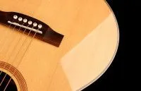 Oriental Cherry W-100-40