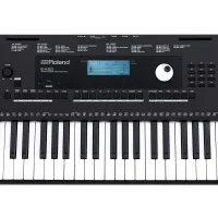 Roland E-X20