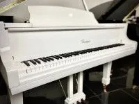 Беларусь B-162W Рояль кабинетный, белый