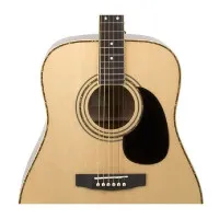 Гитара акустическая CORT AD 880 NS