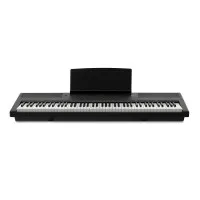 Emotive Hammerpiano 1 BK Цифровое фортепиано, цвет черный