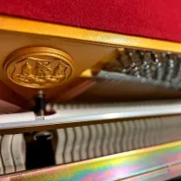 Ritmuller UP118R2(A111) Пианино акустическое, полированное, цвет чёрный