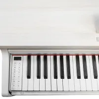 SOLISTA DP200WA Фортепиано цифровое, цвет белый ясень