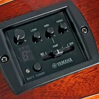 Yamaha FSX820CN