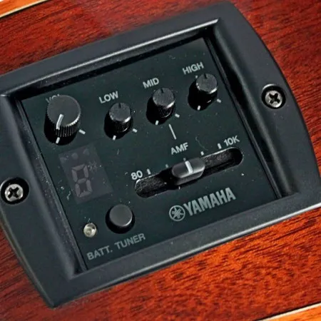 Yamaha FSX820CN