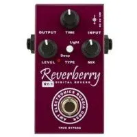 AMT Electronics RY-1