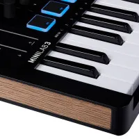 Arturia MiniLab 3 Black Edition MIDI клавиатура 25 клавиш