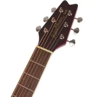Washburn RO10SBK 2