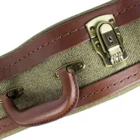 ACURY LPC-120OG Кейс для электрогитары 