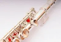 Флейта Пикколо Fleet FLT-PC-S