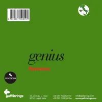 GALLI STRINGS GR105 Набор струн для классической гитары GENIUS FLAMENCO, натяжение NORMAL