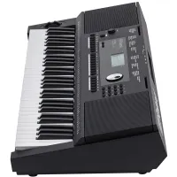 Roland E-X20