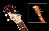 Oriental Cherry W-215-41