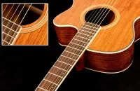 Oriental Cherry W-215-40