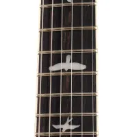 PRS SE CUSTOM 24 Quilt QQEIBBG Электрогитара 6 струн, с чехлом, BLACK GOLD
