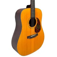 Suolun GT-1D N Гитара акустическая 41" Dreadnought, цвет натуральный, с чехлом в комплекте